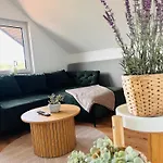 Zur Roemischen Weinstrasse Appartamento Kenn
