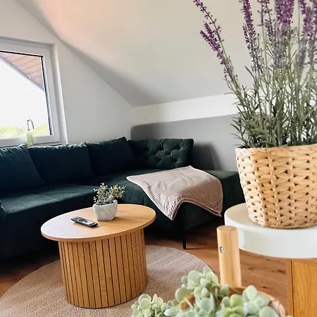 Zur Roemischen Weinstrasse Appartamento Kenn